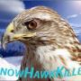 SnowHawkKiller